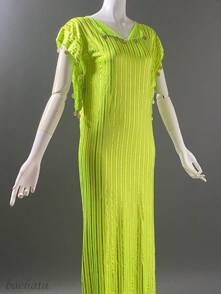 新品タグ付きベリーダンス衣装 バラディドレス シャービードレス