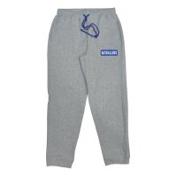 <img class='new_mark_img1' src='https://img.shop-pro.jp/img/new/icons47.gif' style='border:none;display:inline;margin:0px;padding:0px;width:auto;' />forgame Sweat Pants (Gray)