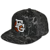 <img class='new_mark_img1' src='https://img.shop-pro.jp/img/new/icons47.gif' style='border:none;display:inline;margin:0px;padding:0px;width:auto;' />forgame FG BALL SnapBack