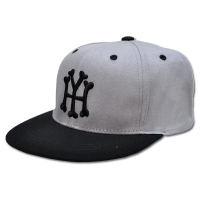 <img class='new_mark_img1' src='https://img.shop-pro.jp/img/new/icons47.gif' style='border:none;display:inline;margin:0px;padding:0px;width:auto;' />forgame YH Logo SnapBack (Gray/Black)