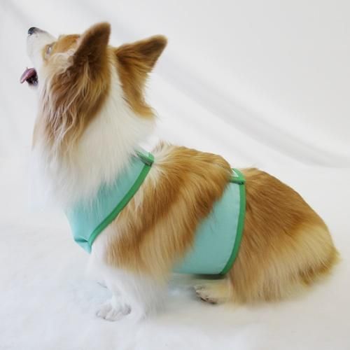 オレンジ ミント コーギー用泥よけエプロン 自由が丘のオリジナル犬服専門店 Ruri S Dog オレンジ ミント コーギー用泥よけエプロン 自由が丘のオリジナル犬服専門店 Ruri S Dog