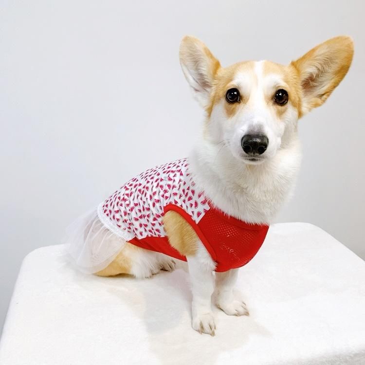 COOL・フルーツ・チュール・ワンピ - 自由が丘のコーギー服犬服店