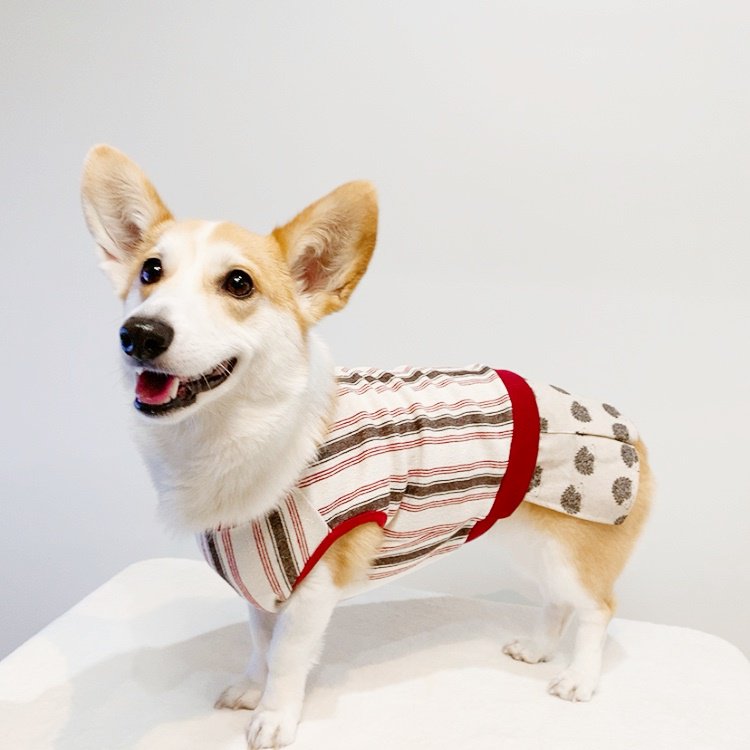 防蚊・ハリネズミ・ワンピ - 自由が丘のオリジナル犬服専門店　RURI'S DOG