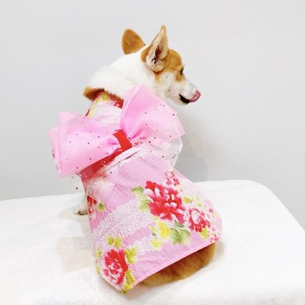 レース花柄・コーギー用浴衣 - 自由が丘のコーギー服犬服店