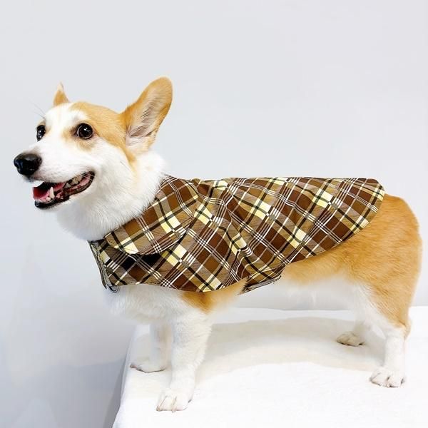 ブラウン・チェック・コーギー用レインコート - 自由が丘のコーギー服