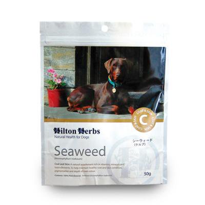 シーウィード Seaweed Kelp Hilton Herbs Japan