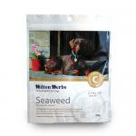 シーウィード(Seaweed - Kelp)