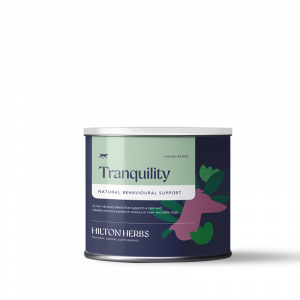 ȥ󥭥ƥ(Tranquility)