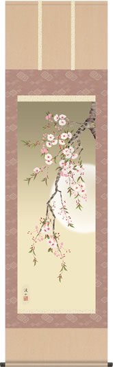 掛け軸 掛軸-夜桜/伊藤 渓山（尺五・桐箱・風鎮付）和室、床の間に飾る