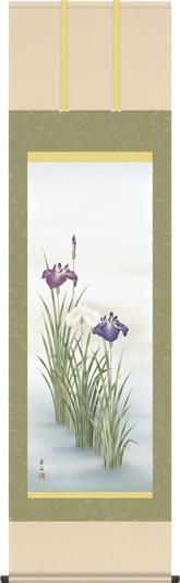 掛け軸 菖蒲 高見蘭石 尺五 本表装 花鳥画 床の間 モダン 和室