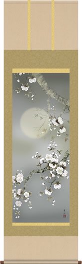 掛け軸-夜桜／緒方葉水（尺五・桐箱・風鎮付き・緞子）花鳥画掛軸 