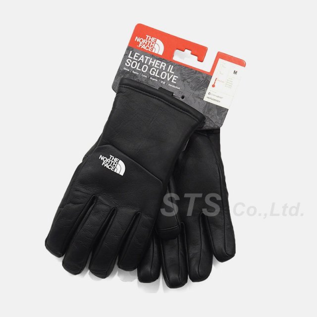 Supreme/The North Face Leather Gloves