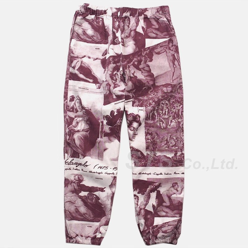 Supreme 17AW michelangelo pant - その他
