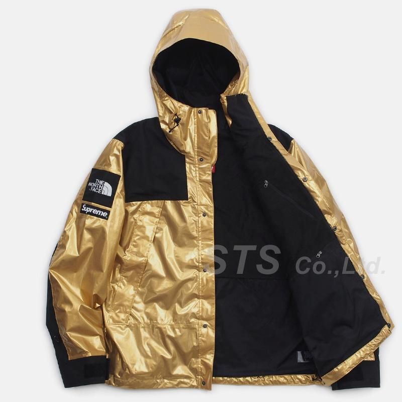 Supreme/The North Face Metallic Mountain Parka - UG.SHAFT