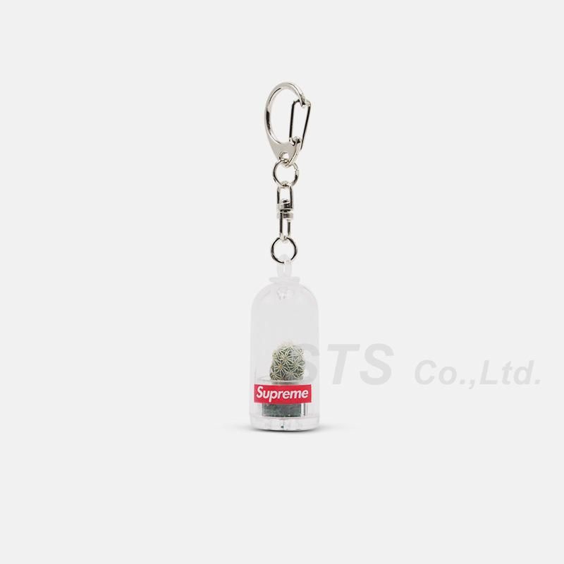 Cactus keychain hot sale supreme