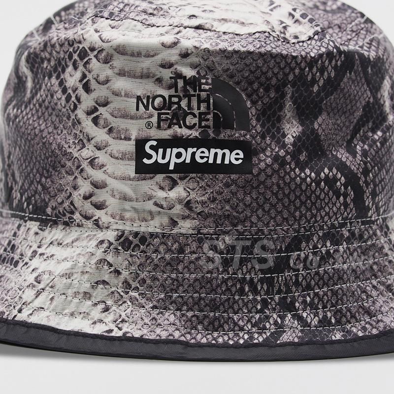 Supreme - Supreme×THE NORTH FACE 2018SS Snakeskin Packable