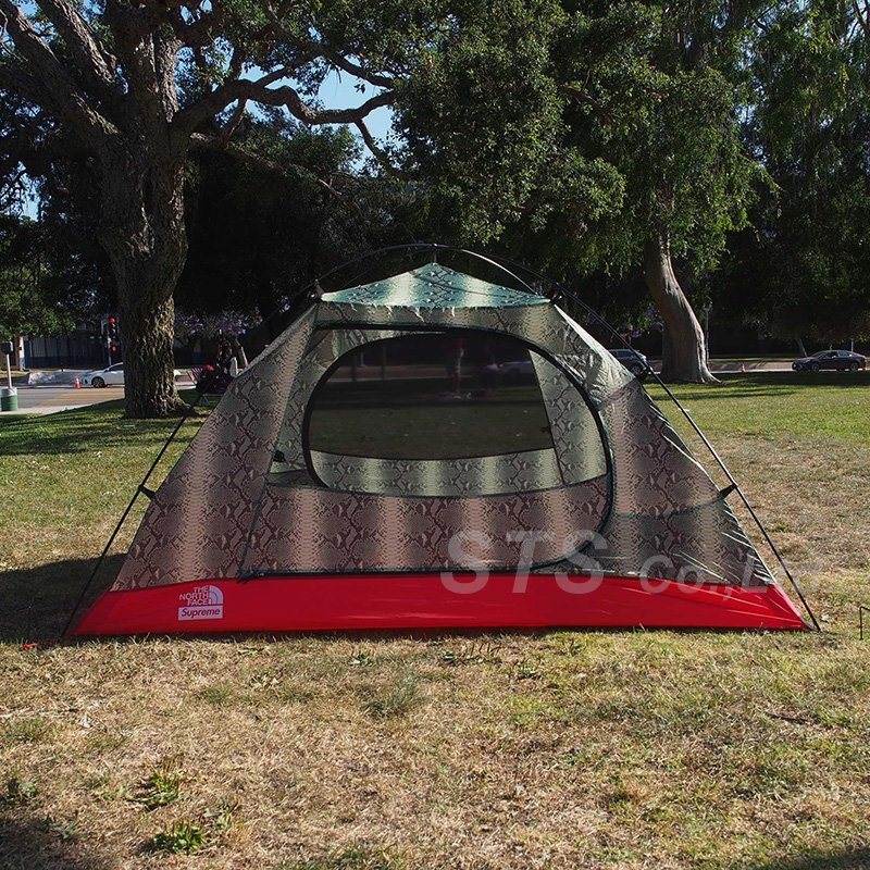 Supreme/The North Face Snakeskin Taped Seam Stormbreak 3 Tent - UG ...