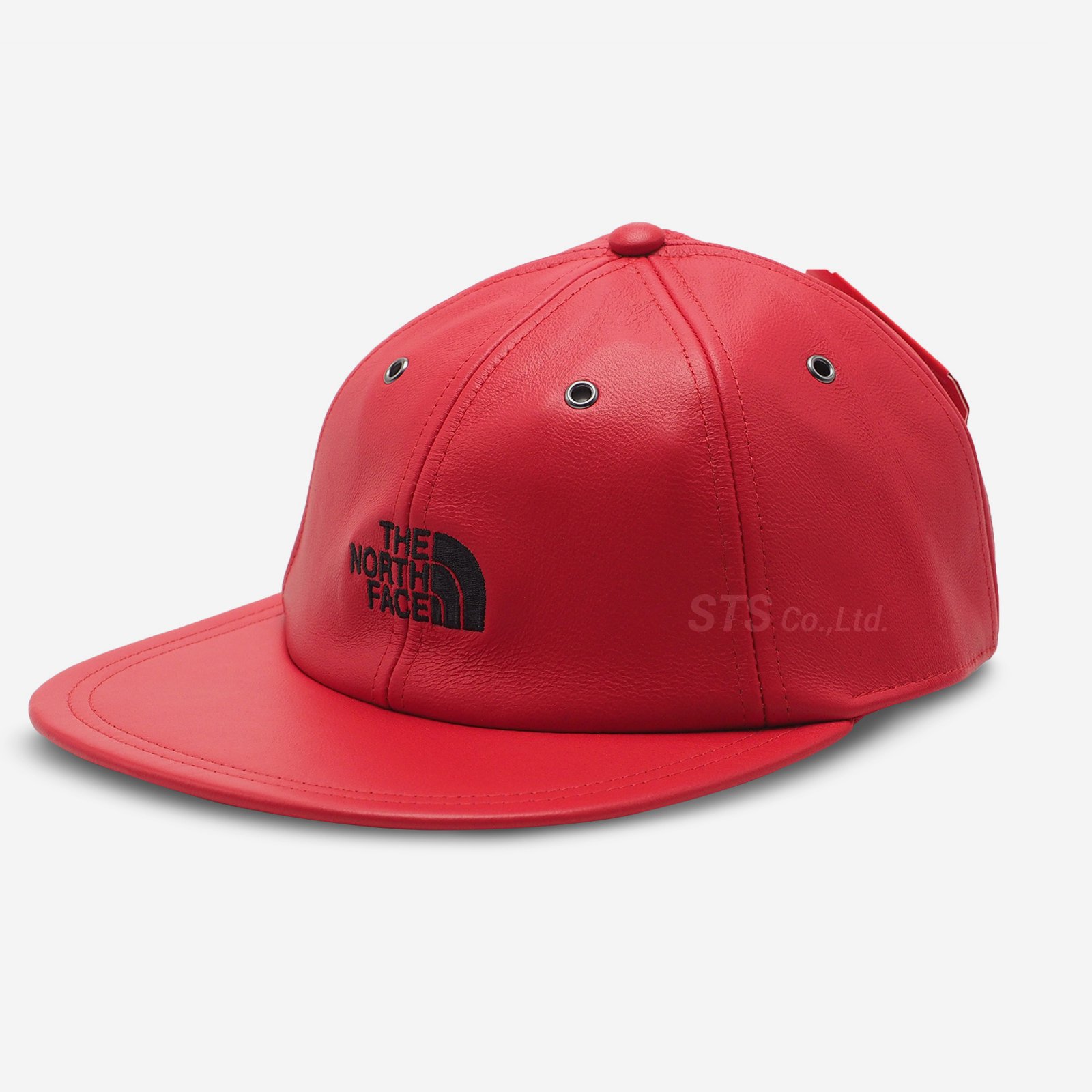 Supreme The North Face Leather 6-Panel 赤