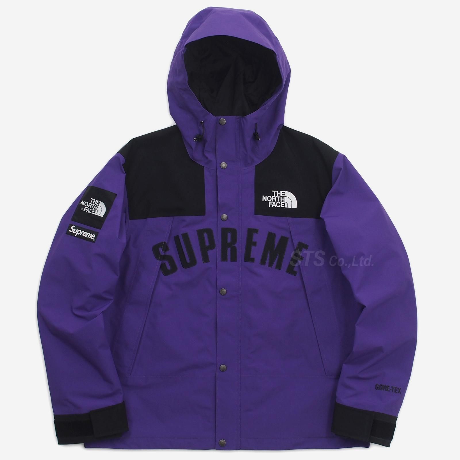 supreme northface arc log mountain parka