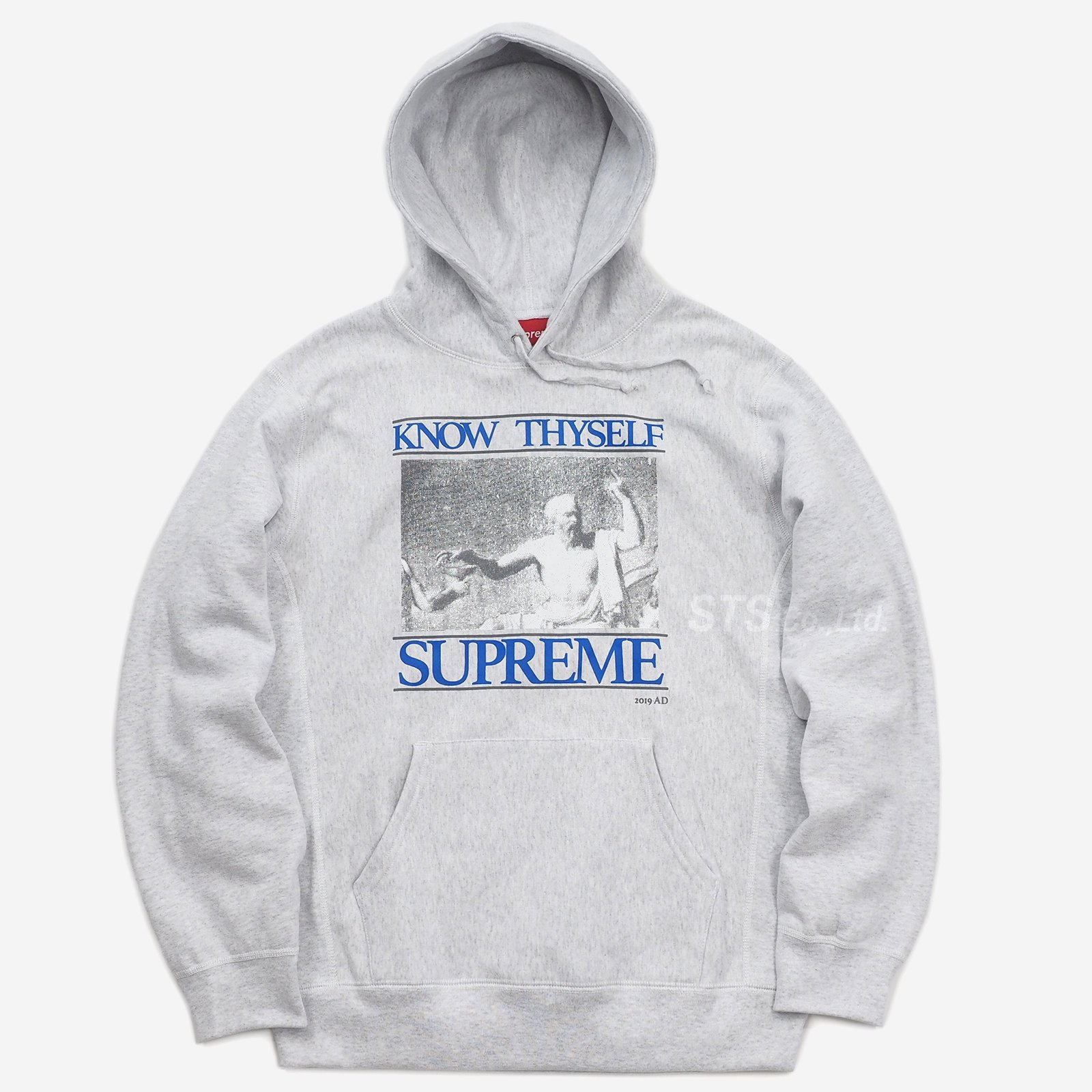 supreme 2019SS  Know Thyself Hooded