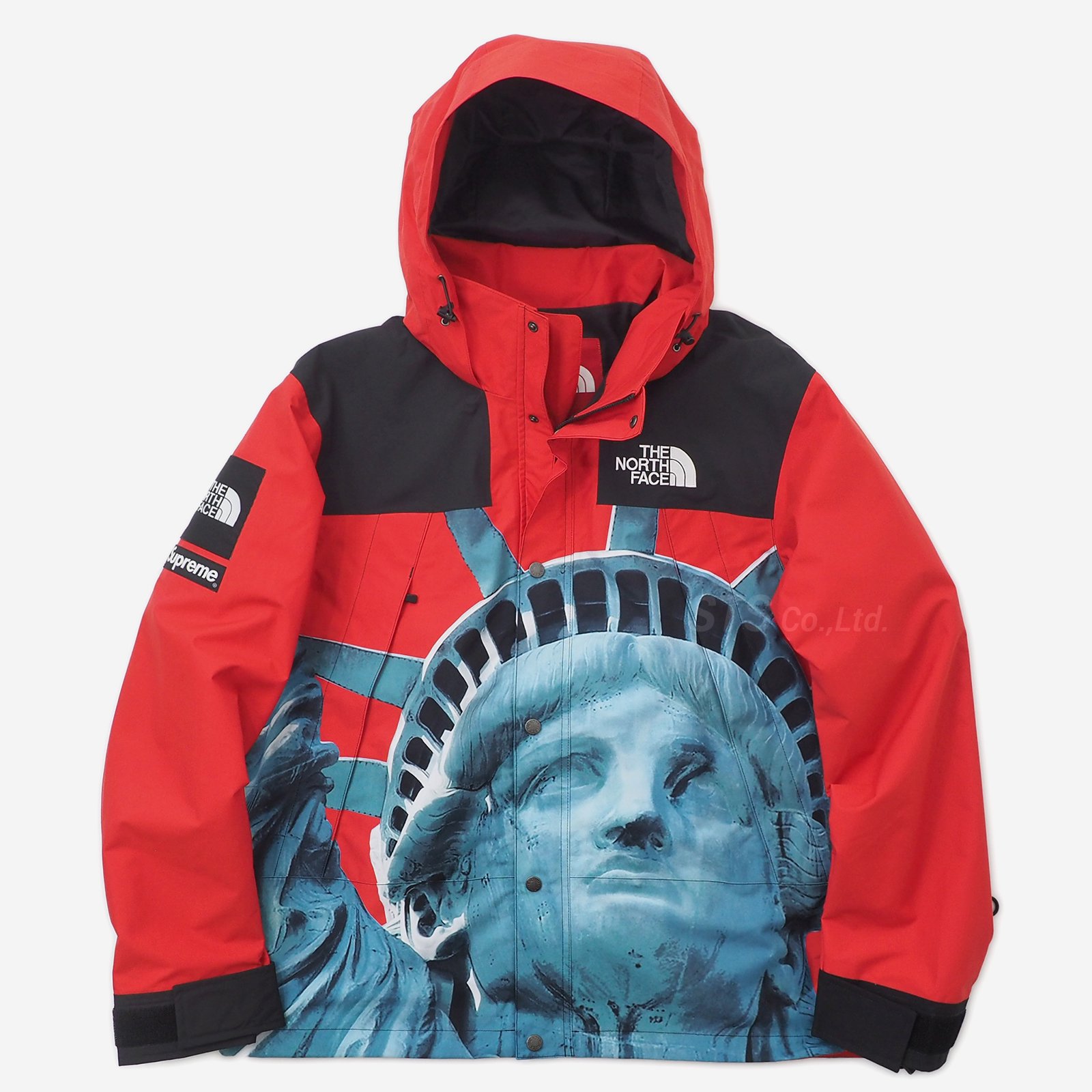 Supreme/The North Face Statue of Liberty Mountain Jacket - UG