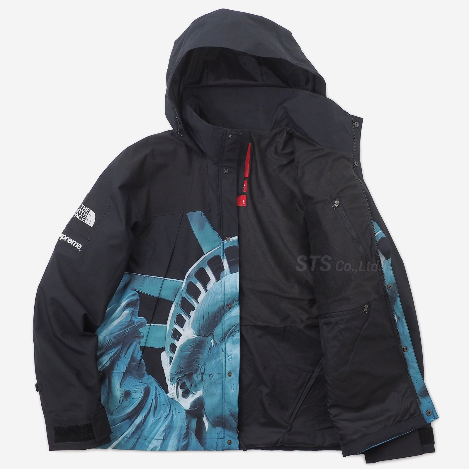 Supreme/The North Face Statue of Liberty Mountain Jacket - UG 