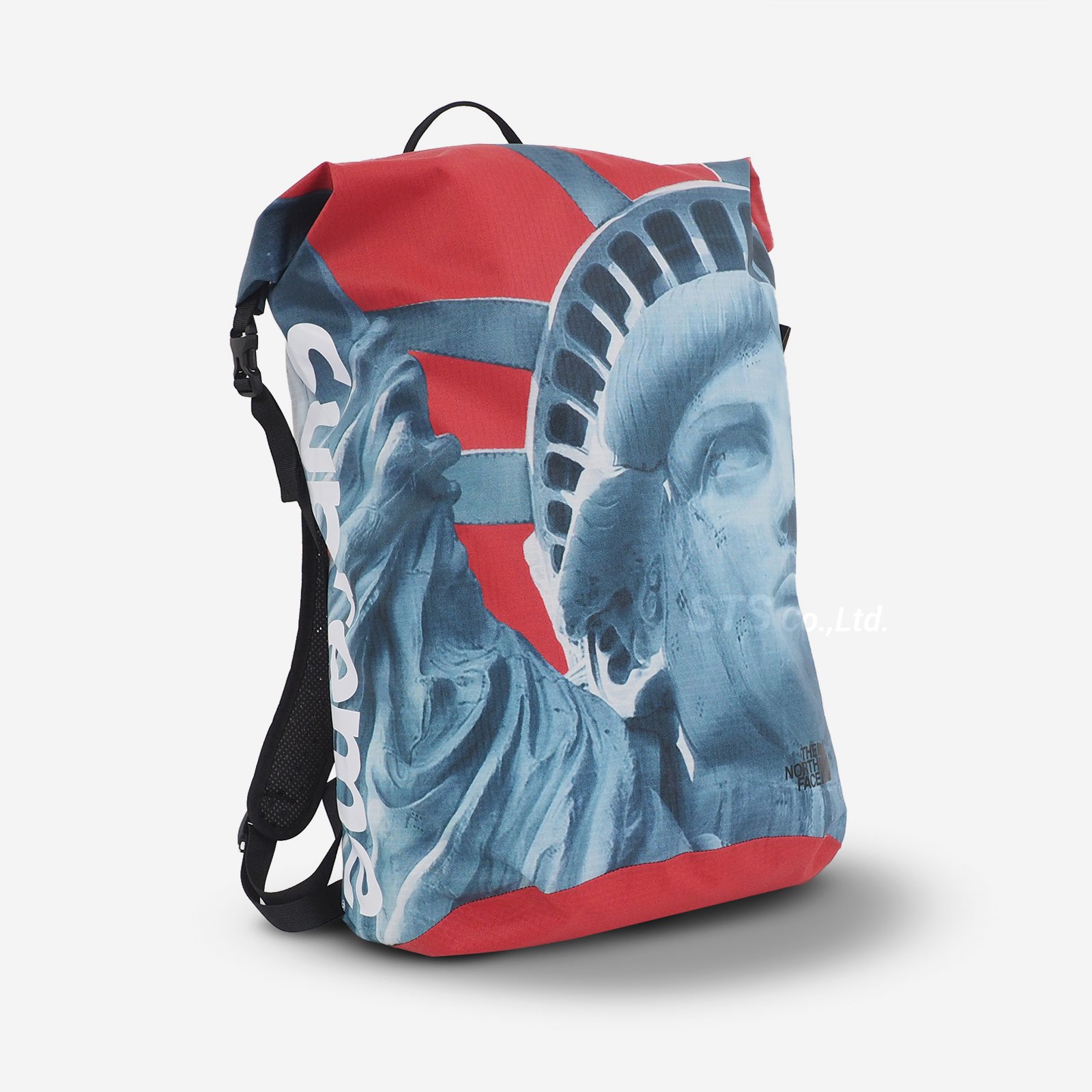 Supreme/The North Face Statue of Liberty Waterproof Backpack ...