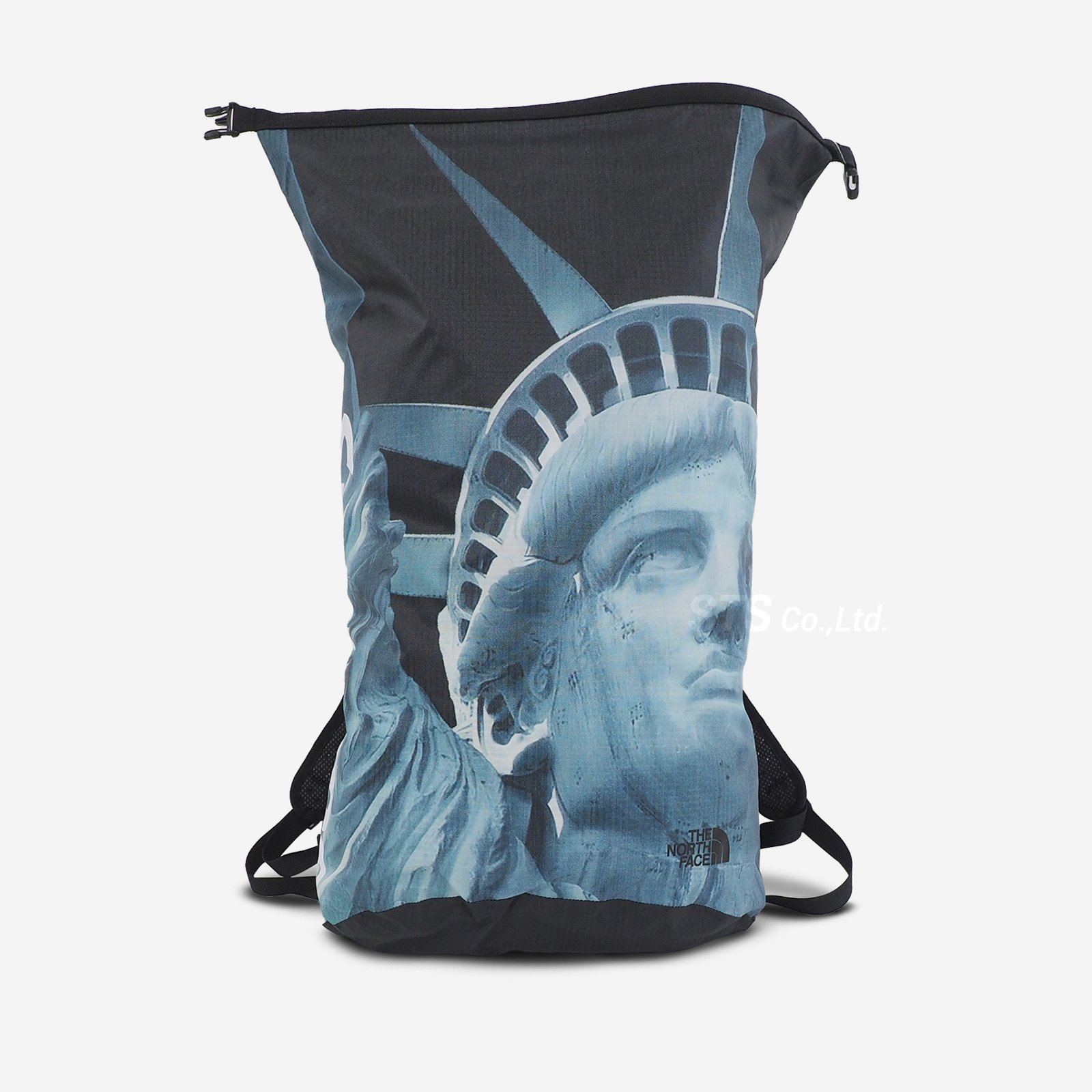 Supreme/The North Face Statue of Liberty Waterproof Backpack - UG ...