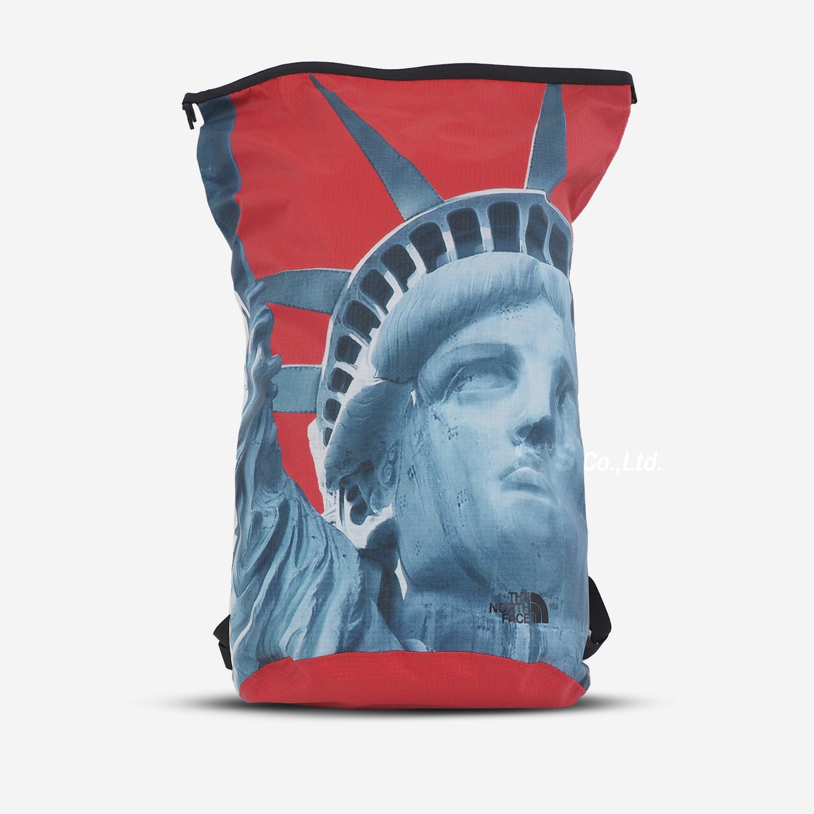 Supreme】TNF Statue of Liberty WATERPROOF