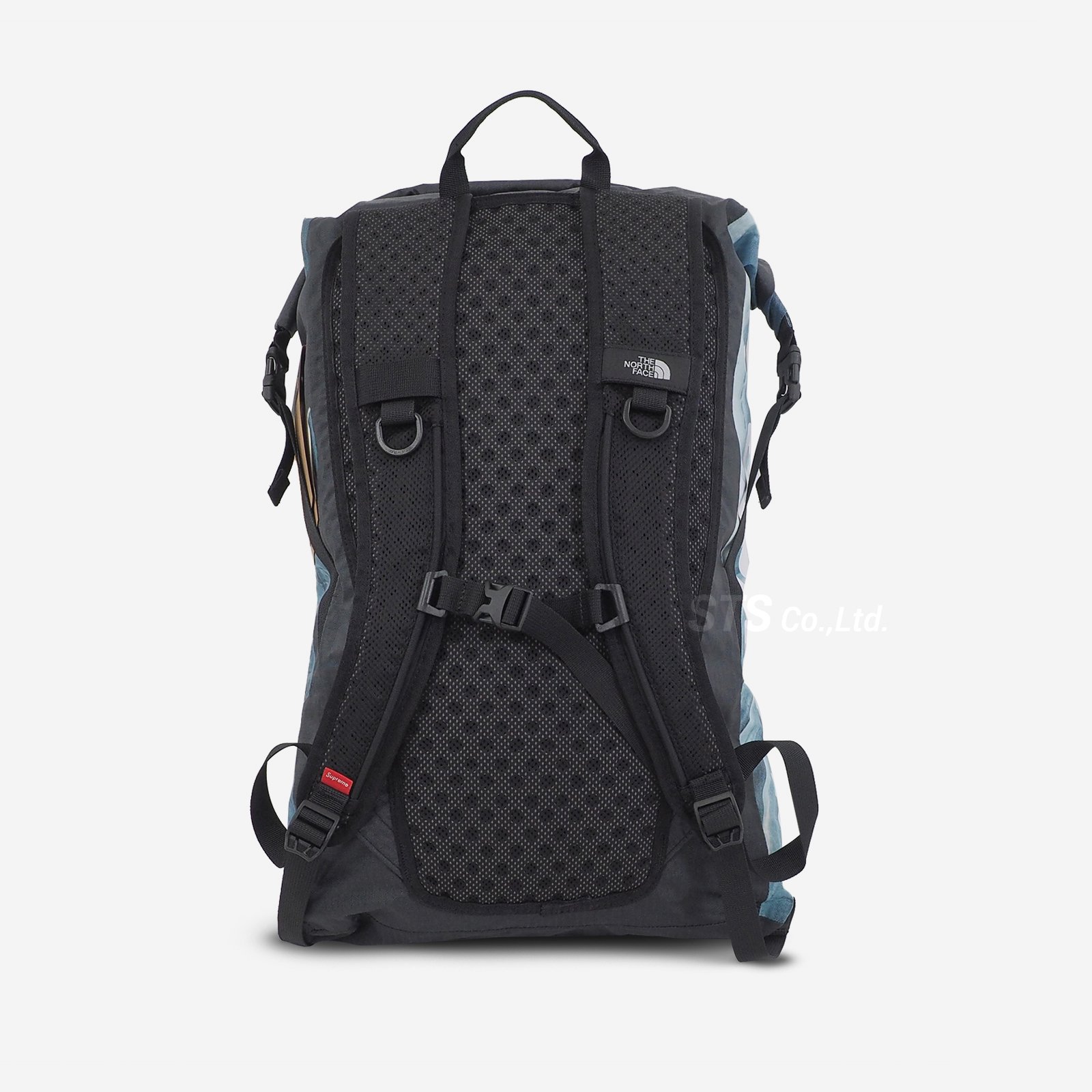 Supreme/The North Face Statue of Liberty Waterproof Backpack - UG ...