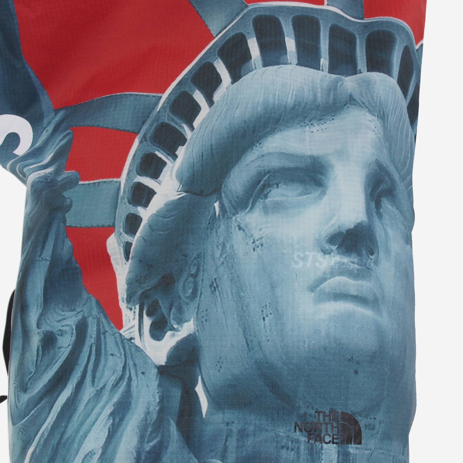 Supreme】TNF Statue of Liberty WATERPROO