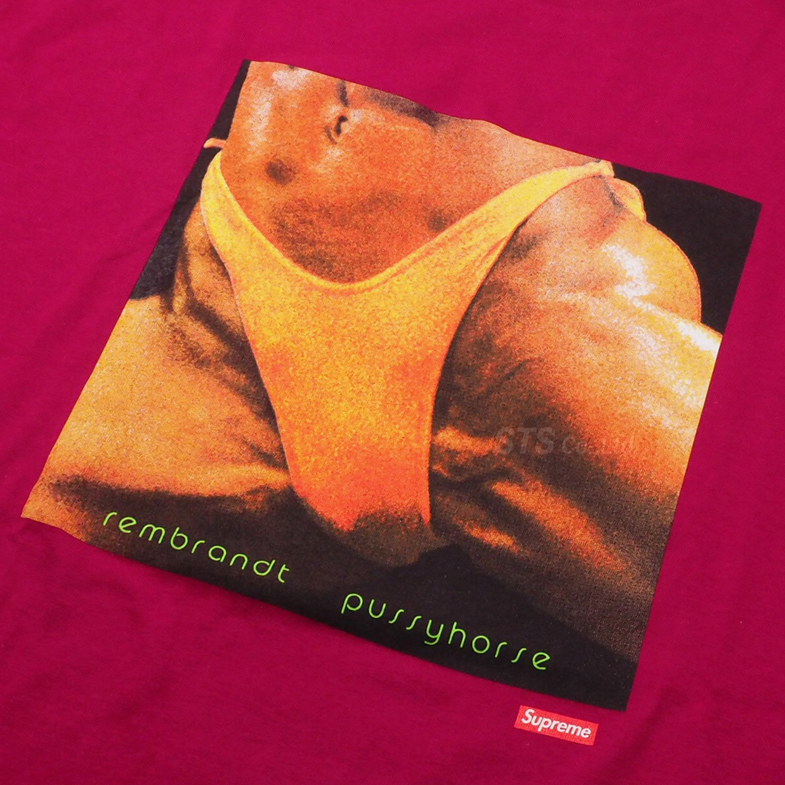 Supreme/Butthole Surfers Rembrandt Pussyhorse Tee - UG.SHAFT