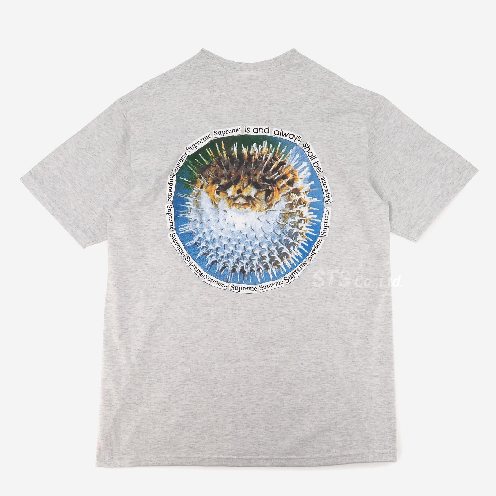 Supreme Blowfish Tee "Ash Grey"thisisneverthat