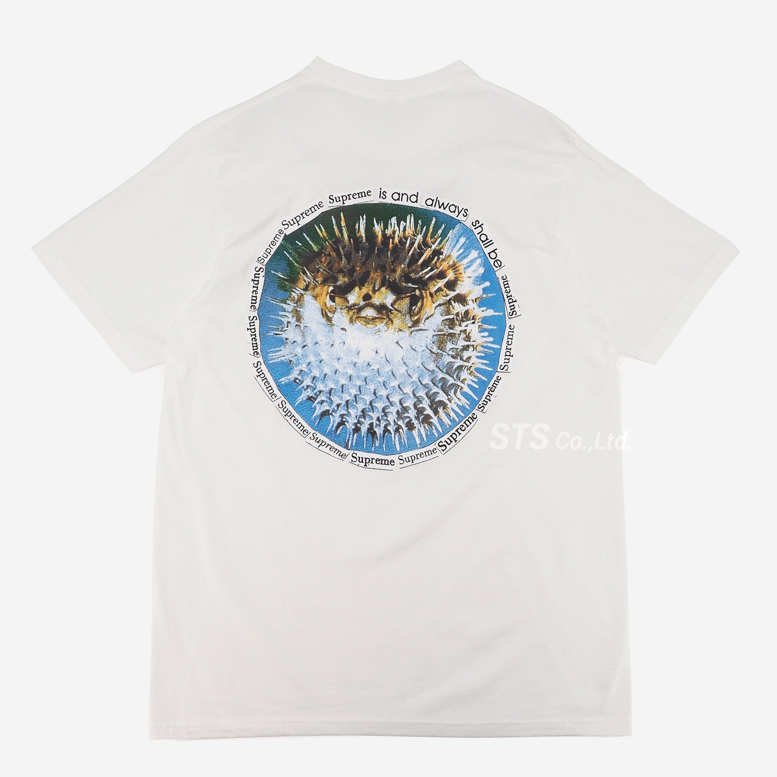 Supreme Blowfish Tee Light Pine Mサイズ - Tシャツ/カットソー(半袖 ...