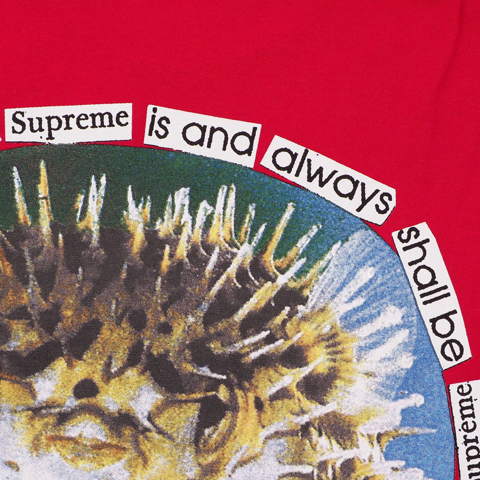 Supreme - Blowfish Tee - UG.SHAFT