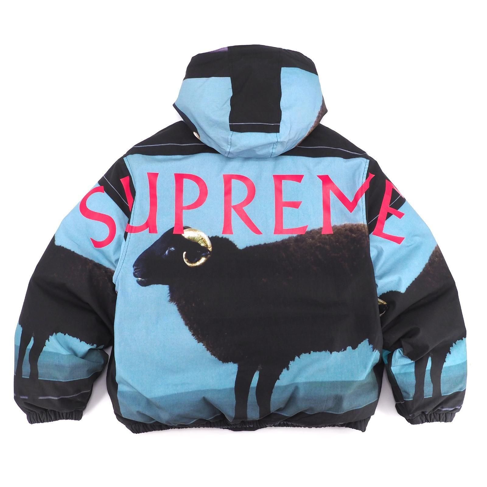 Supreme | Damien Hirst ダウンジャケット - UG.SHAFT Supreme | Damien Hirst ダウンジャケット - UG.SHAFT