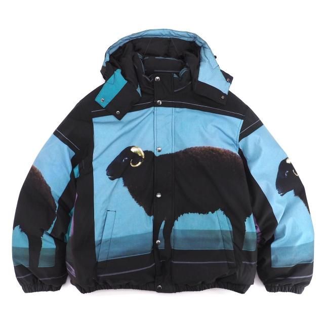 Supreme/Damien Hirst Down Puffer Jacket