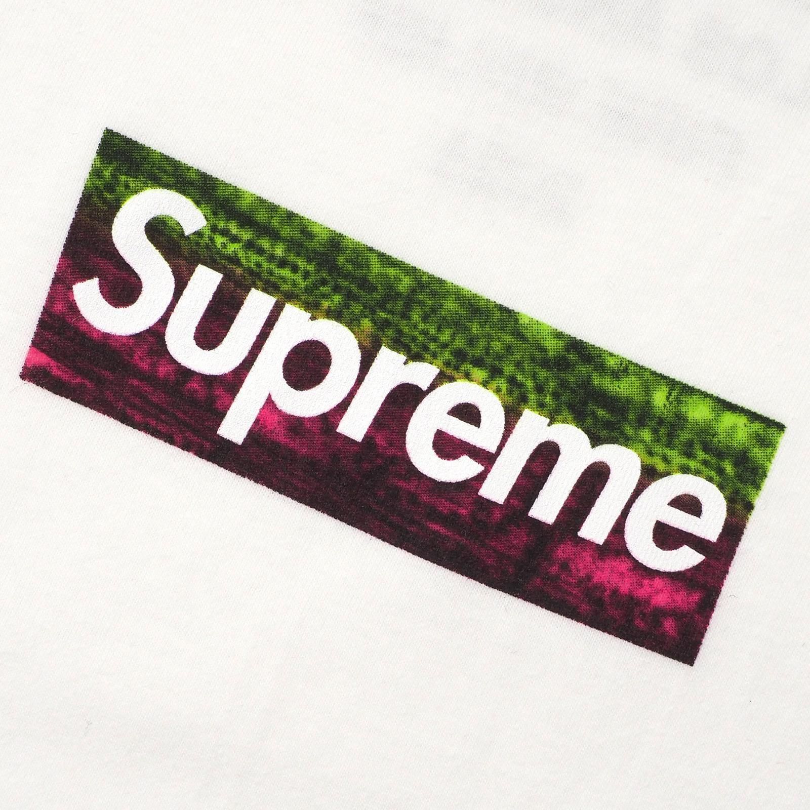 ミュージシャン Supreme Los Angeles Fire Relief Box S Supreme Los Angeles Fire Relief Box Logo