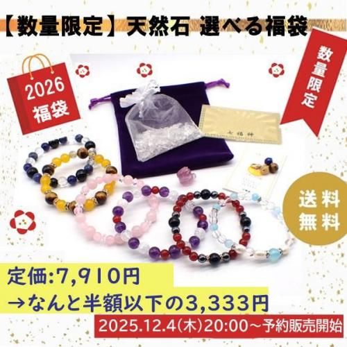 2026ŷСѥȡʡޡ3,333ߡ٤֥쥹㡼 ̸ξʲ