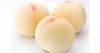 【2022年白桃販売開始！！】岡山白桃　品種　「清水白桃」　　1.5Kギフト箱　（個数５-７玉）