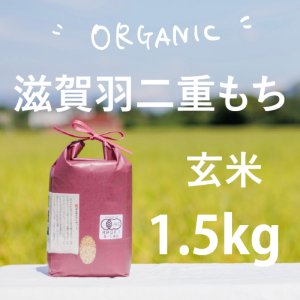 令和5年産有機栽培滋賀羽二重糯 玄米 1.5kg - 針江のんきぃふぁーむ