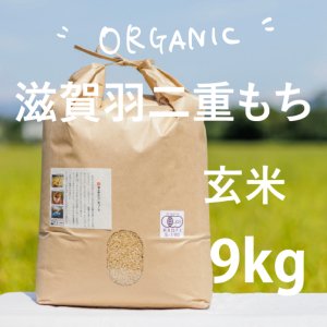 有機栽培滋賀羽二重糯 玄米(もち米) - 針江のんきぃふぁーむ
