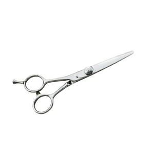 新品/送料無料】『ベルネST(スタンダード)モデル 5.5インチ