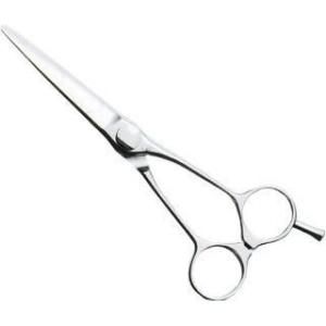 <img class='new_mark_img1' src='https://img.shop-pro.jp/img/new/icons29.gif' style='border:none;display:inline;margin:0px;padding:0px;width:auto;' />ڿ/̵ۡإ٥͡Хå6.1F(եå) (åȥ)