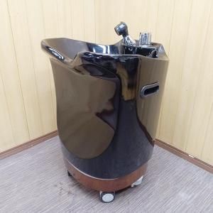 2024年11月29日掲載商品/埼玉店（タカラベルモント・大広