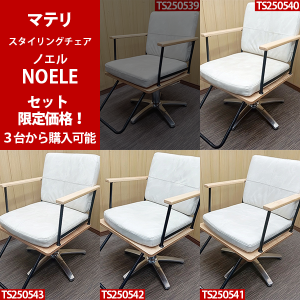<img class='new_mark_img1' src='https://img.shop-pro.jp/img/new/icons2.gif' style='border:none;display:inline;margin:0px;padding:0px;width:auto;' />/Aۥޥƥإ󥰥 NOELEʥΥˡʥ⡼ۥ磻/5ܵӥ١ˡ ʥåȲʡ3椫TS250540/41/42/43