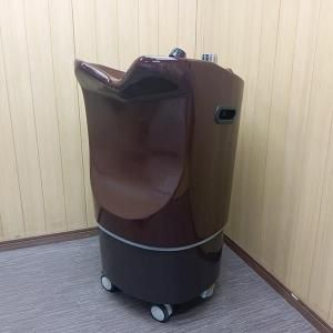 <img class='new_mark_img1' src='https://img.shop-pro.jp/img/new/icons2.gif' style='border:none;display:inline;margin:0px;padding:0px;width:auto;' />/AEMSذưס PERROʥڥˡʥ֥饦/إåɥѥסˡ١TB250546