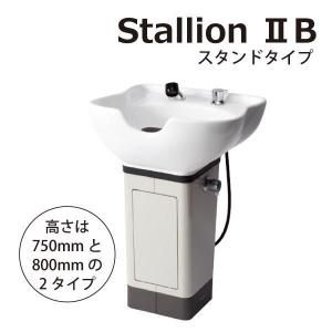 <img class='new_mark_img1' src='https://img.shop-pro.jp/img/new/icons29.gif' style='border:none;display:inline;margin:0px;padding:0px;width:auto;' />ڿ/̵ Ωסܡ Stallion B(ꥪ2 B) ι⤵٤ޤ