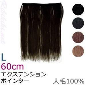 ڿ/̵ۡإƥ󥷥󡡥ݥ󥿡 L (60cm)٥ơդ