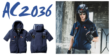 Сȥ롡ե2036꡼